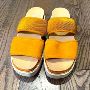 NWOT Dr. Scholl’s slides